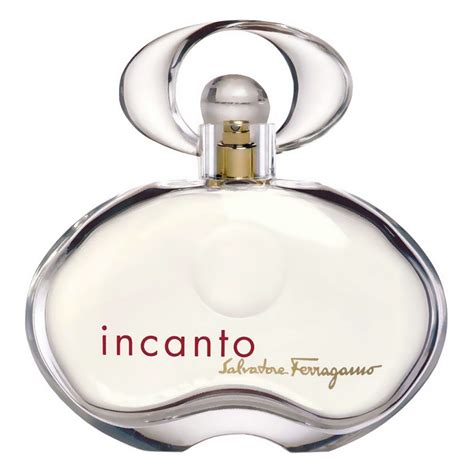 incanto perfume|incanto perfume price.